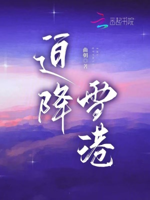 迫降雪港